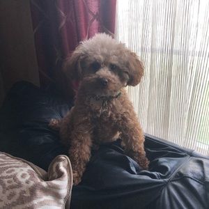 Meet your Posher, Michael